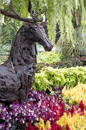 Flowers decoration in the gardenの写真素材