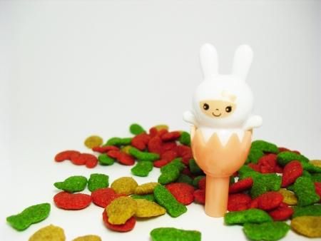 rabbit