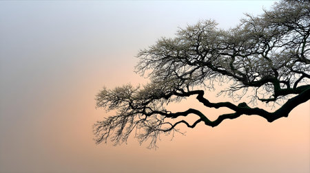 Tree silhouette in the morning mist. 3D illustration. Horizontal.ai generatedの素材