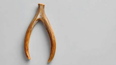 Deer antlers isolated on white background. Flat lay, top view.ai generatedの素材