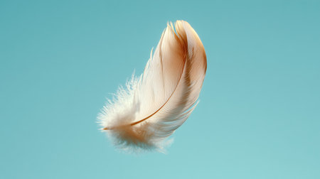 feather of a bird on a blue background, close-upの素材