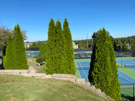 a tennis court and several trees blocking the front.の写真素材
