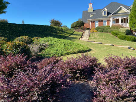 Beautiful House in Atlanta, Georgia The trees and grass roads are harmonious.の写真素材