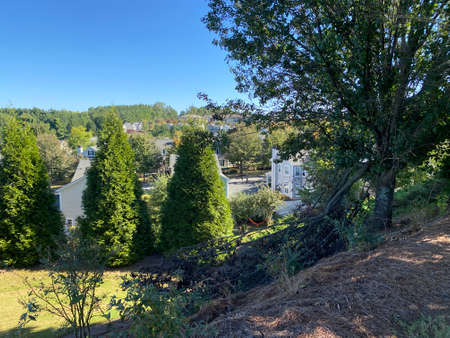 Beautiful House in Atlanta, Georgia The trees and grass roads are harmonious.の写真素材