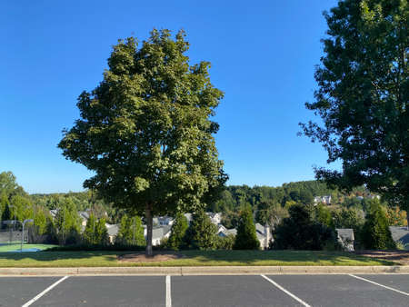 Beautiful House in Atlanta, Georgia The trees and grass roads are harmonious.の写真素材