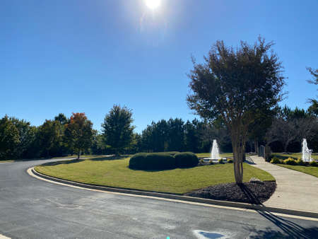 Fountain and tree seen from afarの写真素材