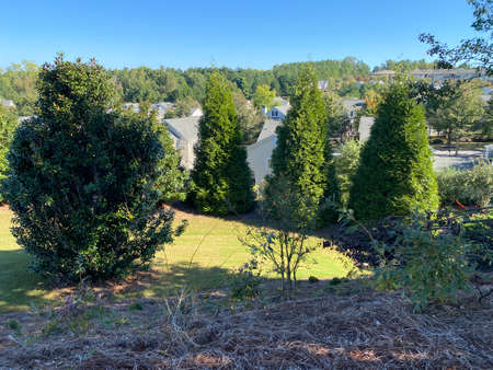 Beautiful House in Atlanta, Georgia The trees and grass roads are harmonious.のeditorial素材