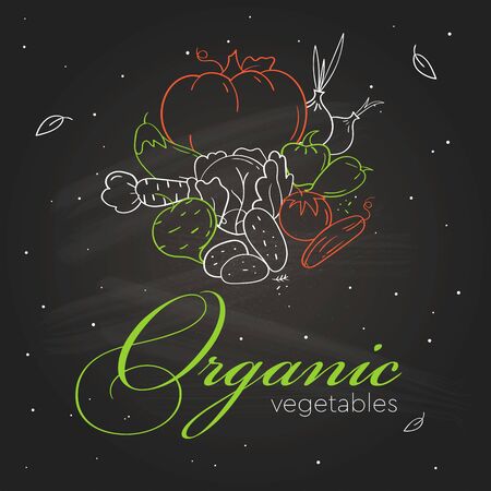 Line style banner with icons of organic vegetables on blackboard. Hand drawn modern nutrition concept. Food banner templateのイラスト素材