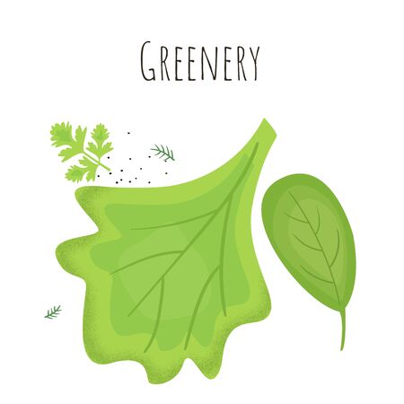 Salad greenery. Isolated cartoon dishes. Doodle color set of ingredients and products for cookingのイラスト素材