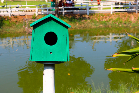 Green Bird houseの写真素材