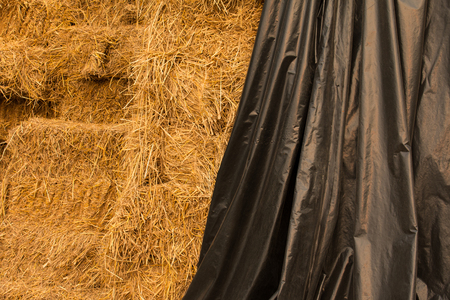 Piles of straw, detail of piled straw for animal feedの写真素材