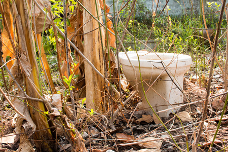 Nothing outdoor latrine in the forest cover.の写真素材