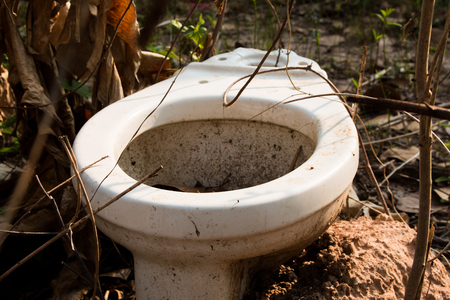 Nothing outdoor latrine in the forest cover.の写真素材