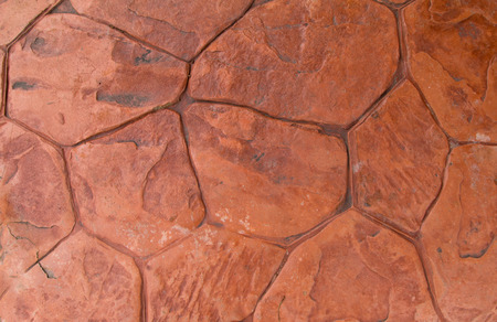 Brick worm or Bricklaying worm on the walkway, Shooting angle in