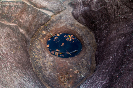 Pond in the rock on summer dayの写真素材