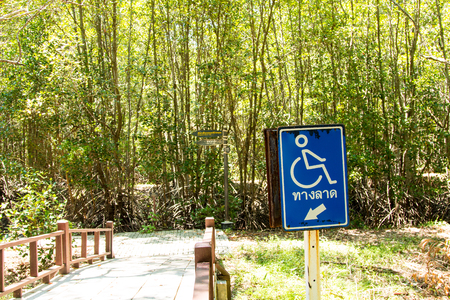 cement Bridge along the mangrove forestの写真素材