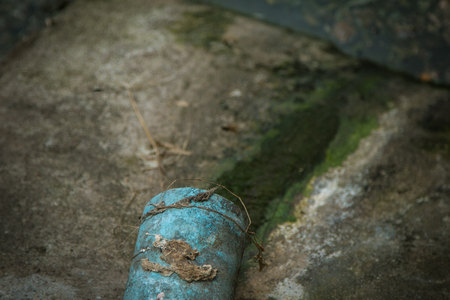 Waste water from food waste and swineの写真素材