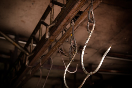 Pig Hook in slaughterhouseの写真素材