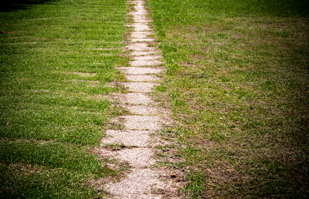 Pathway in garden,green lawns with bricks pathways
