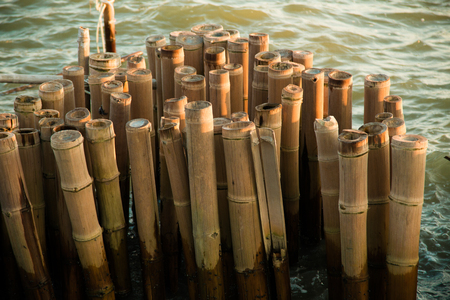 bamboo dam defend waves and  slow down waves coast .の写真素材