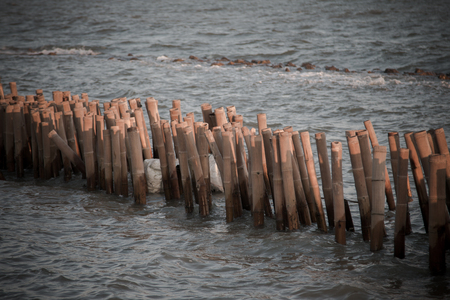 bamboo dam defend waves and  slow down waves coast .の写真素材
