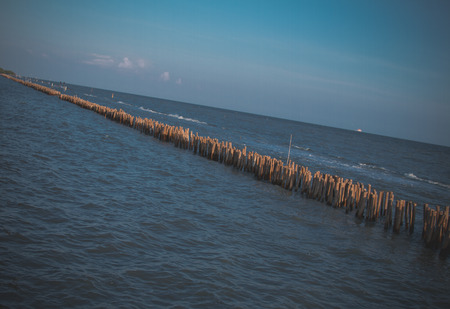 bamboo dam defend waves and  slow down waves coast .の写真素材
