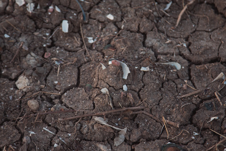 Drought, the ground cracks,dry soil in arid areasの写真素材
