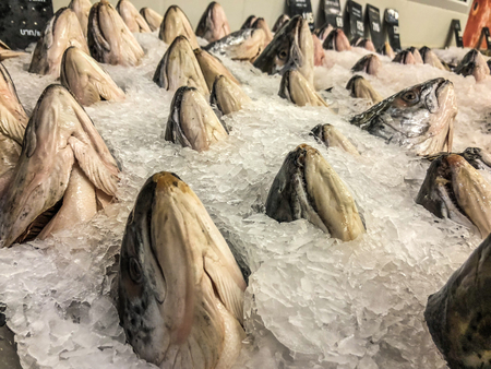 Frozen sea bass in maket Thailand