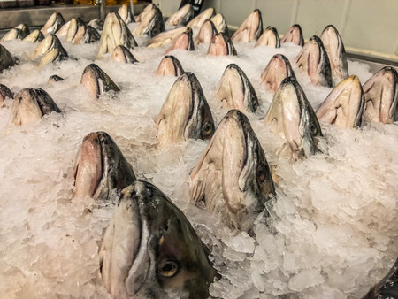 Frozen sea bass in maket Thailandの写真素材