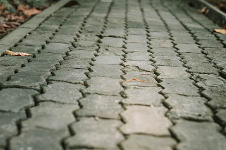 A path in park evening in theの写真素材