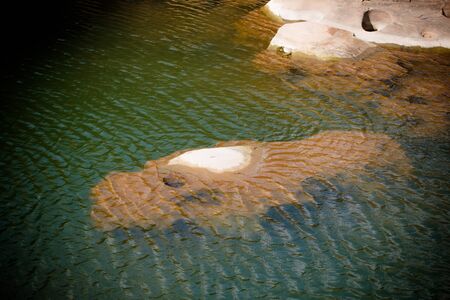 Beautiful amazing of rocks, Natural of rock canyon in mekhong river , Hat Chom Dao, Ubon Ratchathani...