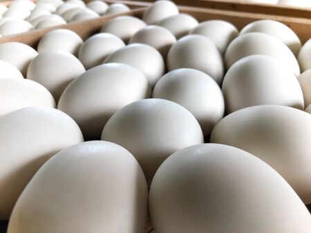 White duck eggs are in the panel woodの写真素材