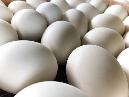White duck eggs are in the panel woodの写真素材