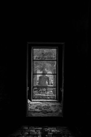 behind the buddha