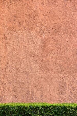 red rough wall textureの写真素材