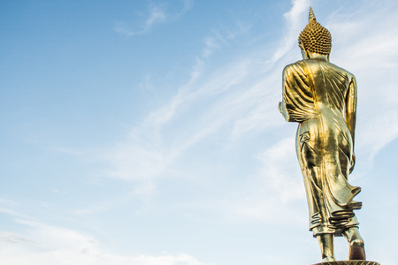 back of the buddhaの写真素材