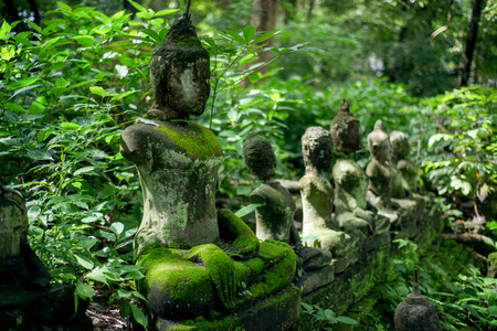 green moss on Buddha statueの写真素材