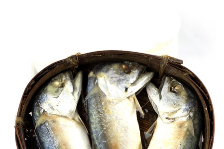 Mackerel fish on the bamboo round basketの写真素材
