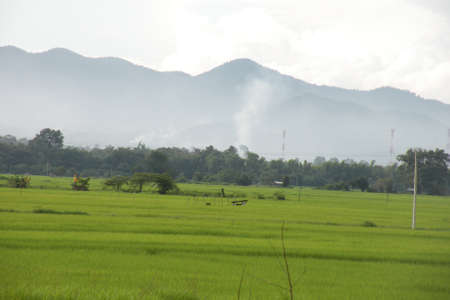 prairieの写真素材