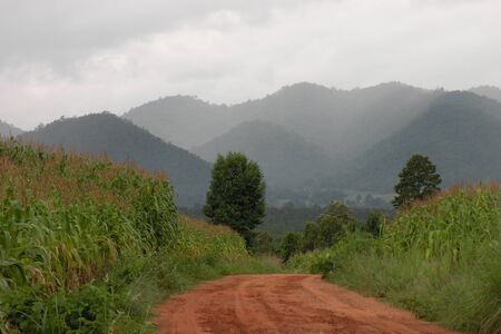 road in the mountain thailandの写真素材