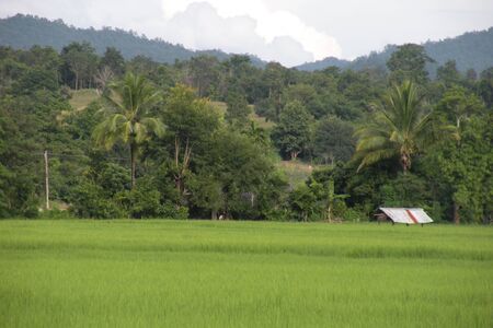 fieldの写真素材
