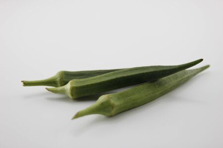 Okra Place on a white background.の写真素材