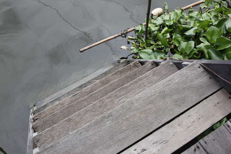 Water hyacinth floating in the canal.の写真素材