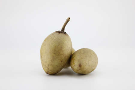 Sapodilla put on a white background.の写真素材