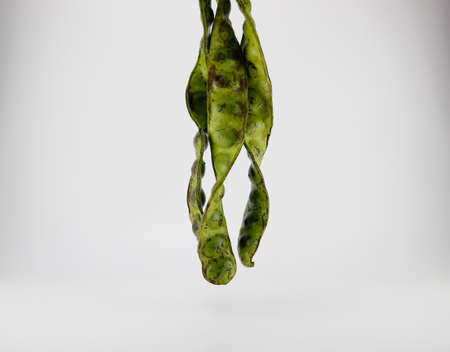 Parkia is dish of southern Thailand. Placed on a white background.