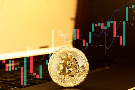 Bitcoin gold coin on the background of a computer monitor with a graphの写真素材