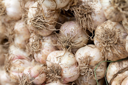 Garlic bulbs on display at the farmers market. Close-up.の写真素材