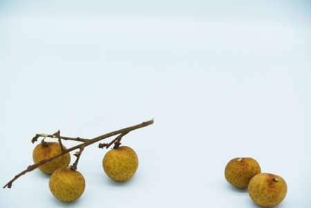 Guava Fruit Isolated on White Background for copy space