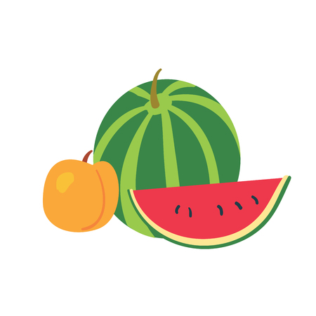 Watermelon and Peach. Fruits on white backgroundのイラスト素材