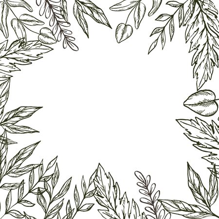 Hand drawn frame of leaves and plants. Vectorのイラスト素材